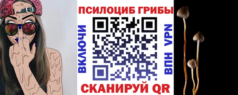 Галлюциногенные грибы Cubensis где продают наркотики мега как зайти Динская